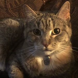 Meet your Posher, Gina